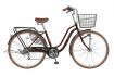 Xe-đạp-mini-Nhật-WAT-2673- nau