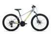 xe-dap-Giant-Xtc-24-D1-2025-ghi