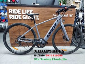 xe-dap-tro-luc-Giant-Escape-E-tay-ga-ghi-tim-720