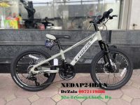 xe-dap-Trinx-GT20-xi-mang-720