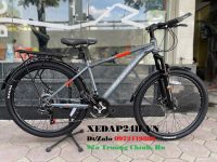 xe-dap-gia-re-Rider-Plus-21S-ghi-cam-720