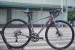 liv-avail-ar4-gc-2025-tim-ghi