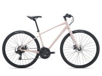 xe-dap-LIV-ALIGHT-2-2026-hong