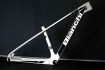 Khung-carbon-29-Bianchi-Nitron-Boost-trang