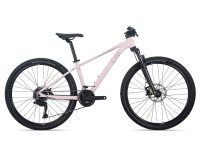 xe-dap-Liv-Tempt-2-2026-Hong