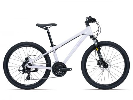 xe-dap-nu-Liv-Meme-24-2025-tim-nhat