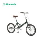 Xe-Dap-Gap-Nhat-Ban-Dimanche-Xanh-Dam