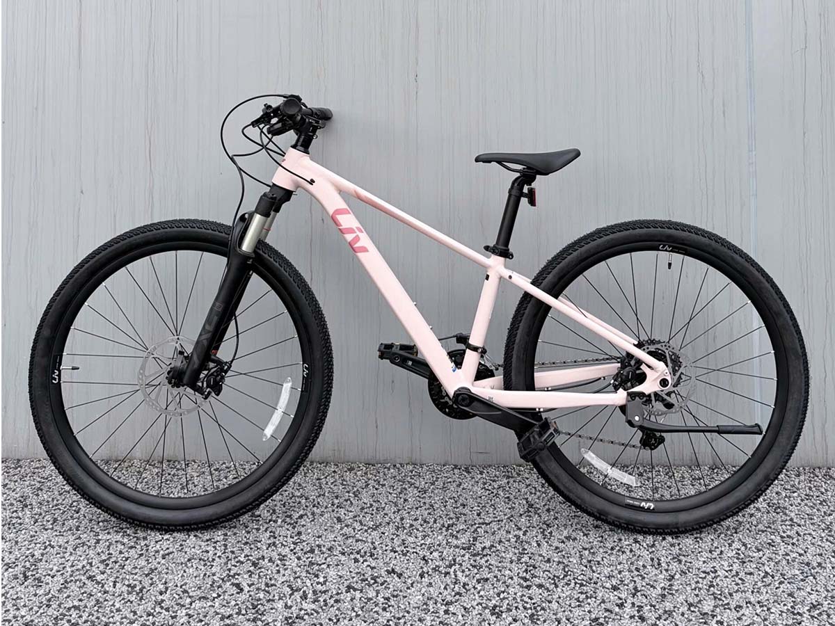 xe-dap-Liv-Tempt-E-2026-Hong