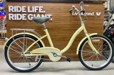 xe-dap-momentum-ineed-lily-sua