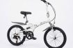 xe-dap-gap-2-giam-xoc-Cadilac-trang
