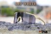 kinh-dap-xe-Cinalli-UV400-ULS261-doi-mau-off-white