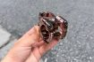 stem-potang-xe-dap-Hassns-HA31-35mm-brown-3D