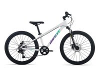 xe-dap-Giant-Atx-24-D-2-2027-trang-xedap24h