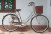 xe-mini-inox-VNB-26-gio-may